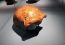Der Fund im Neandertal – Eine Entdeckung verändert die Geschichte